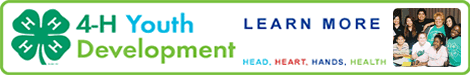 Click here to Get Involved